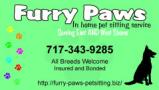 Furry Paws In Home Pet Sittng Service