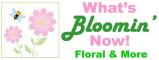 What's Blooming Now! Floral & More