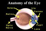 Newman Eye Care