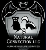 Natural Connection LLC