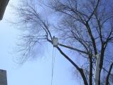 Seekonk Tree Service