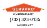 ServPro of Jackson / Lacey