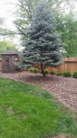 Scott's Lawn and Landscaping