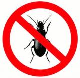 Advantage Pest Management