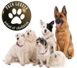 Doggy Doolil Daycare North & South