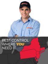 Western Pest Services