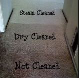 TLC Carpet & Tile Cleaning