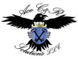 Ace C&R Solutions LLC