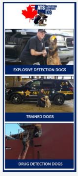 K9 Detection Service